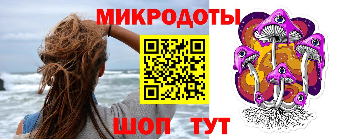 Псилоцибиновые грибы Psilocybe Балтийск